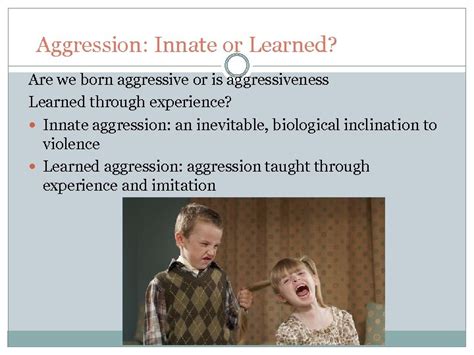 Is aggression born or learned?